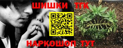 mdma Гатчина