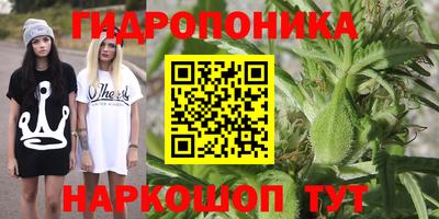 mdma Гатчина
